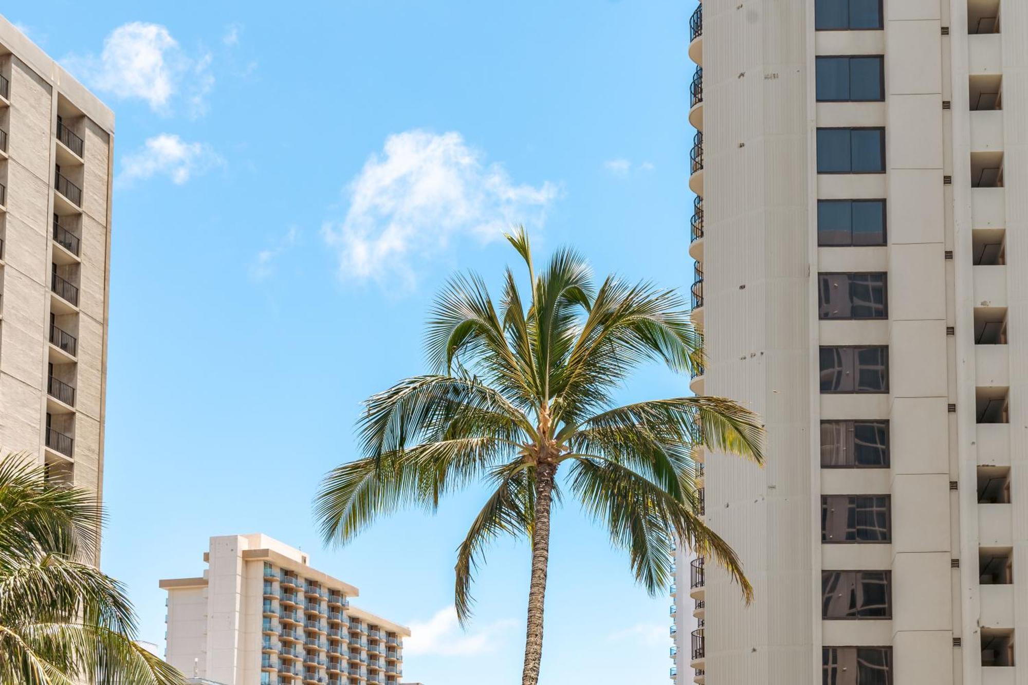 1Br With Great Ocean Views, 1 Block To Waikiki Beach Χονολουλού Εξωτερικό φωτογραφία