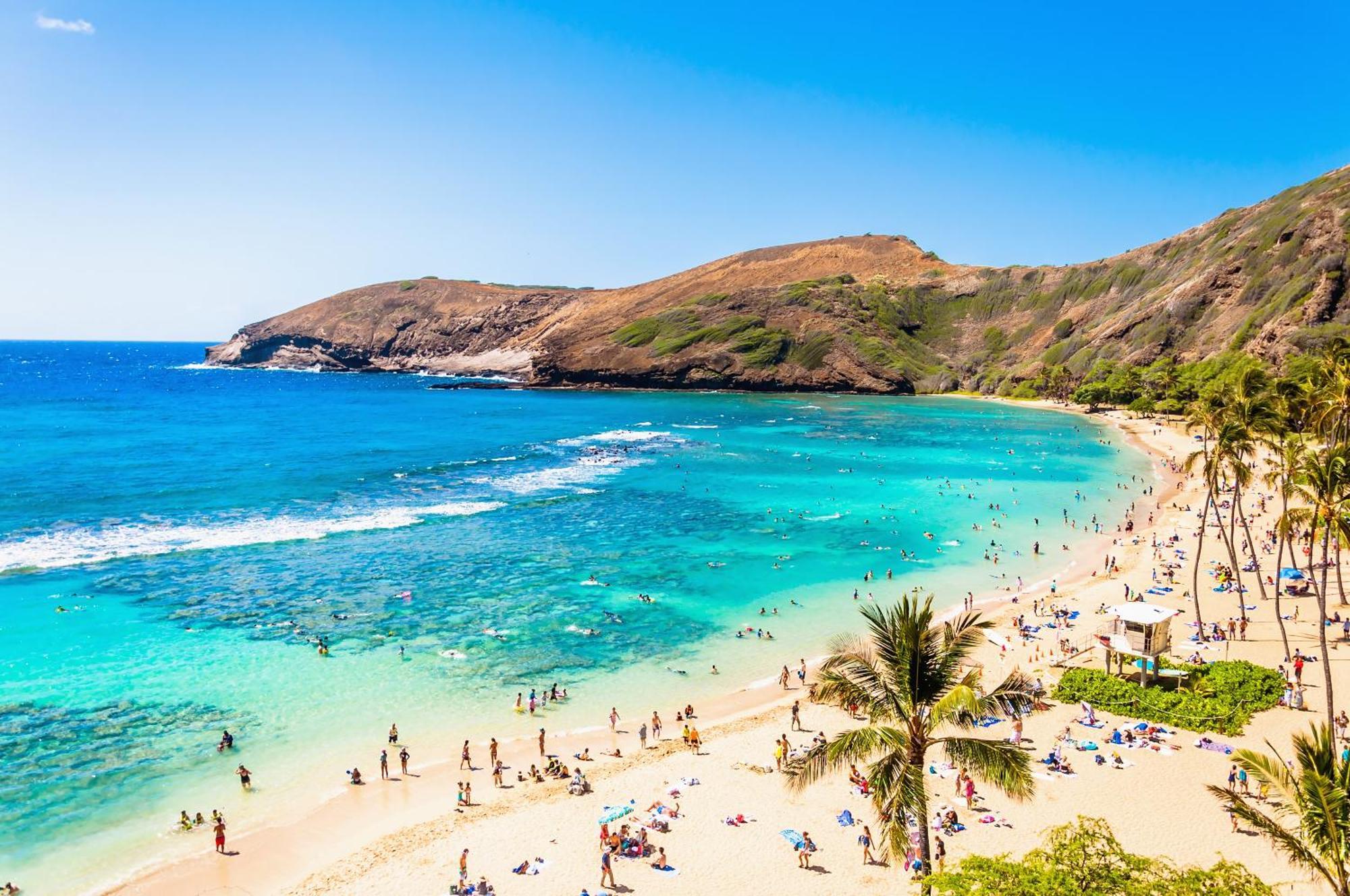 1Br With Great Ocean Views, 1 Block To Waikiki Beach Χονολουλού Εξωτερικό φωτογραφία